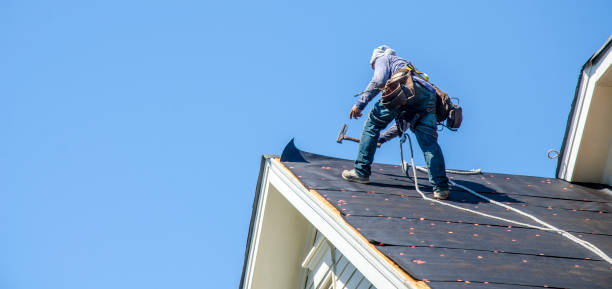 Roof Gutter Cleaning in Sahuarita, AZ
